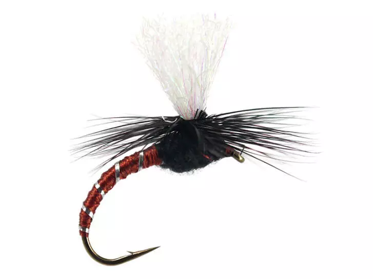 Klinkhammer Brown Black