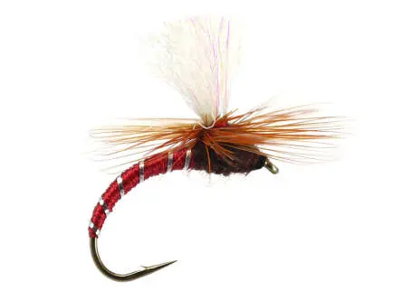 Klinkhammer Red