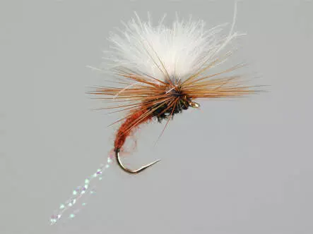 CDC Flash Klinkhammers Brown