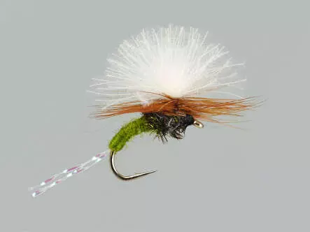 CDC Flash Klinkhammers Green