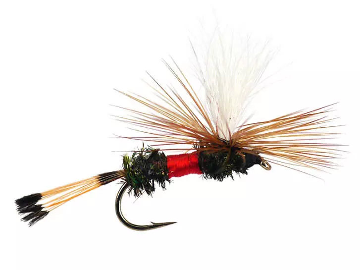 Royal Coachman Parachute