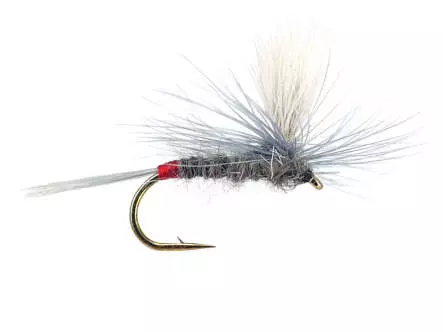 Iron Blue Dun Parachute