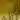 BODY STRETCH hotfly - 6 mm - 100 cm - golden olive