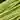 D-RIB STANDARD hotfly - 1,2 mm - 250 cm - fluo yellow